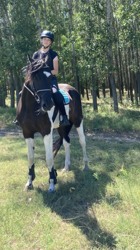 image-27-01-22-09-46-3